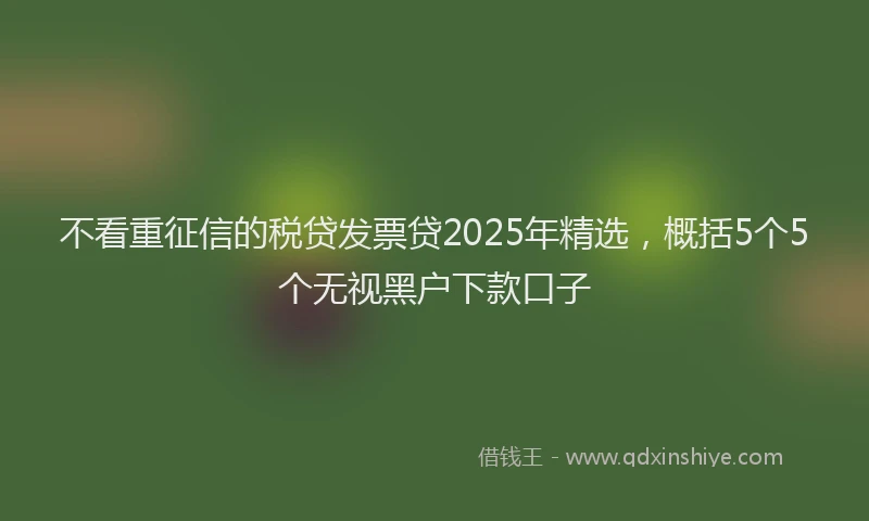 不看重征信的税贷发票贷2025年精选，概括5个5个无视黑户下款口子