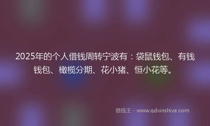 2025年的个人借钱周转宁波有：袋鼠钱包、有钱钱包、橄榄分期、花小猪、恒小花等。