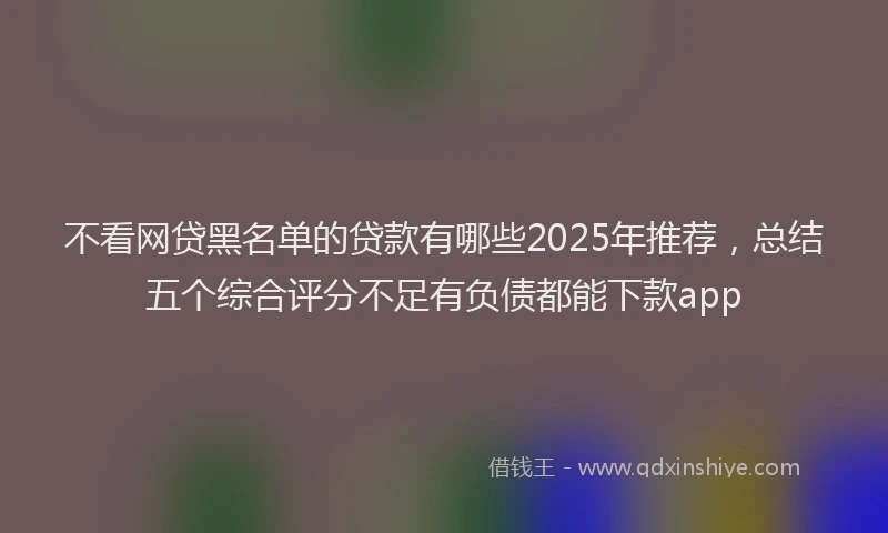 不看网贷黑名单的贷款有哪些2025年推荐，总结五个综合评分不足有负债都能下款app