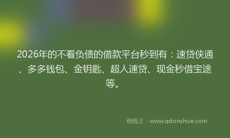 2026年的不看负债的借款平台秒到有：速贷侠通、多多钱包、金钥匙、超人速贷、现金秒借宝途等。
