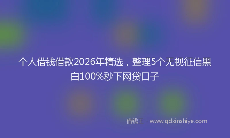 个人借钱借款2026年精选，整理5个无视征信黑白100%秒下网贷口子