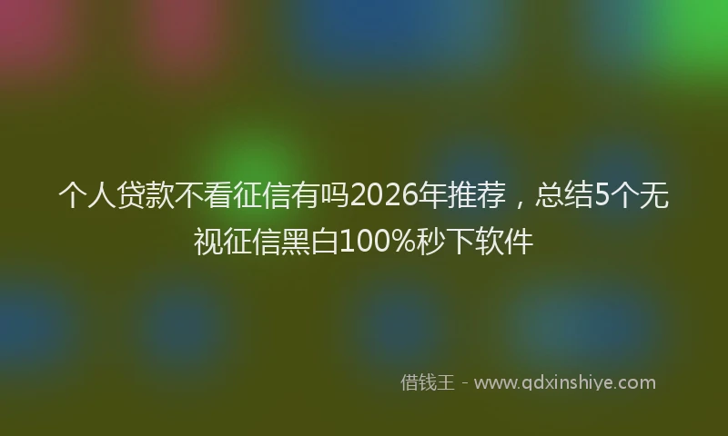 个人贷款不看征信有吗2026年推荐，总结5个无视征信黑白100%秒下软件
