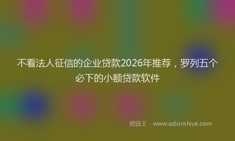 不看法人征信的企业贷款2026年推荐,罗列五个必下的小额贷款软件