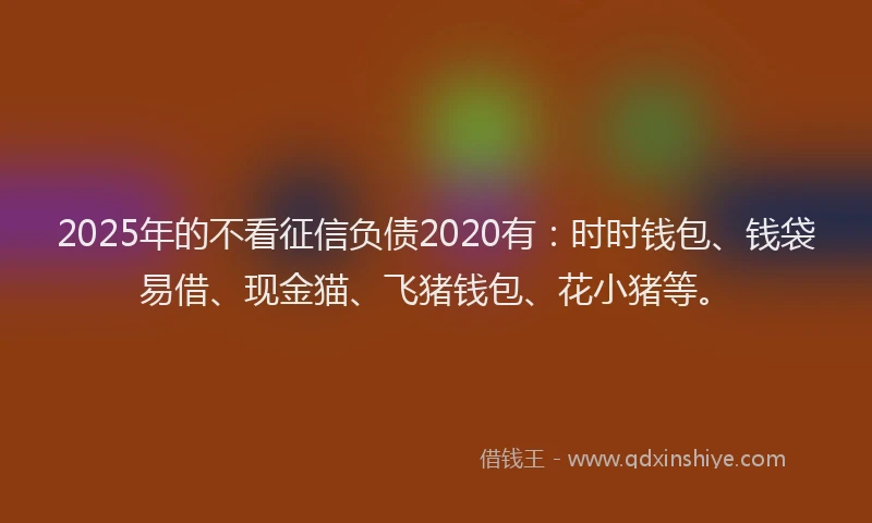 2025年的不看征信负债2020有:时时钱包、钱袋易借、现金猫、飞猪钱包、花小猪等。