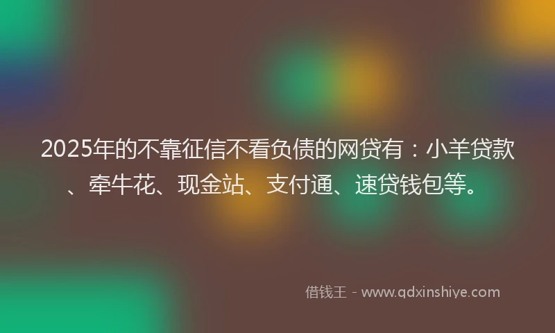 2025年的不靠征信不看负债的网贷有：小羊贷款、牵牛花、现金站、支付通、速贷钱包等。