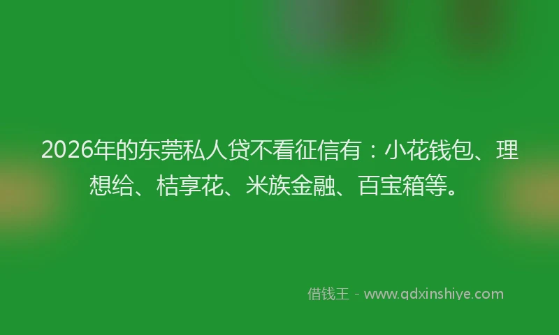 2026年的东莞私人贷不看征信有：小花钱包、理想给、桔享花、米族金融、百宝箱等。