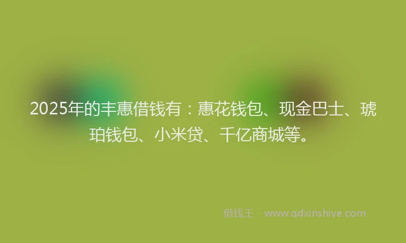 2025年的丰惠借钱有:惠花钱包、现金巴士、琥珀钱包、小米贷、千亿商城等。