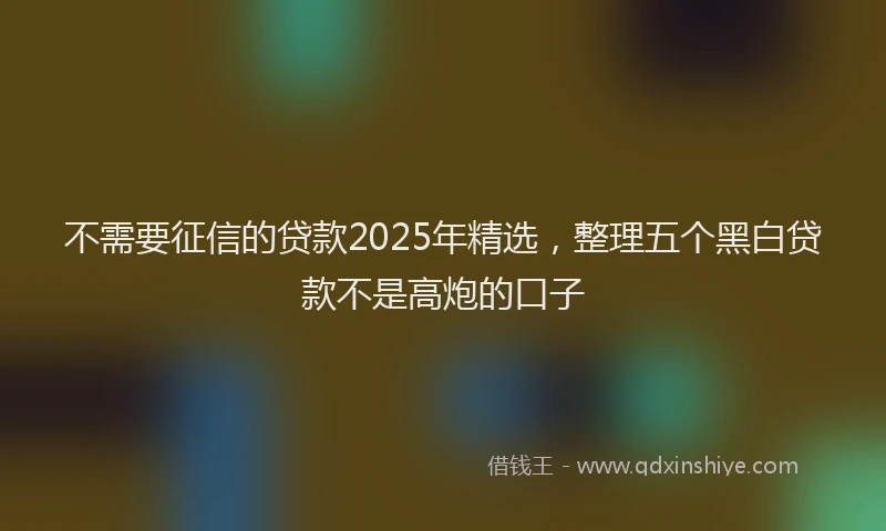 不需要征信的贷款2025年精选，整理五个黑白贷款不是高炮的口子