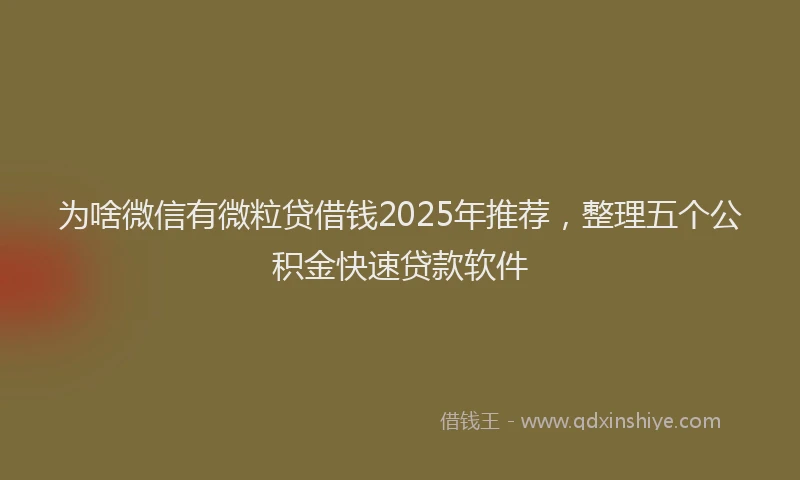 为啥微信有微粒贷借钱2025年推荐，整理五个公积金快速贷款软件