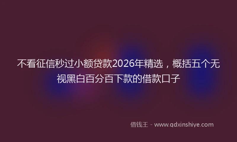 不看征信秒过小额贷款2026年精选，概括五个无视黑白百分百下款的借款口子