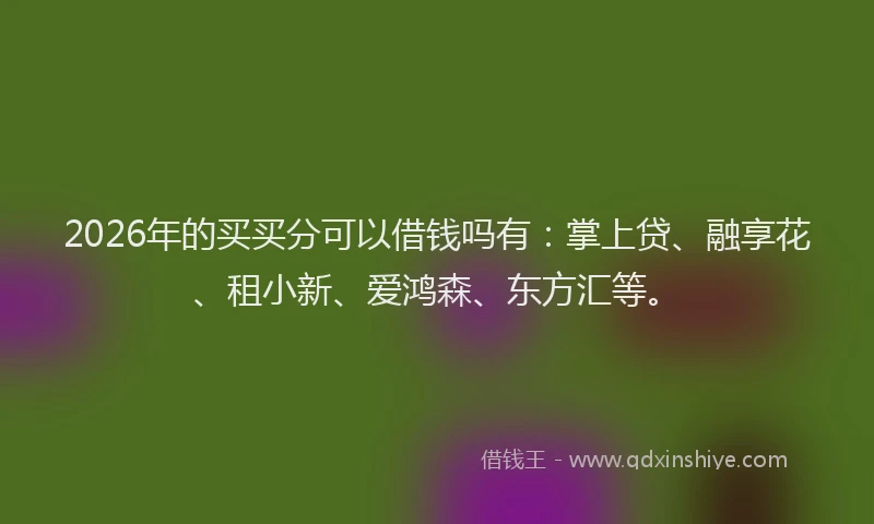 2026年的买买分可以借钱吗有：掌上贷、融享花、租小新、爱鸿森、东方汇等。