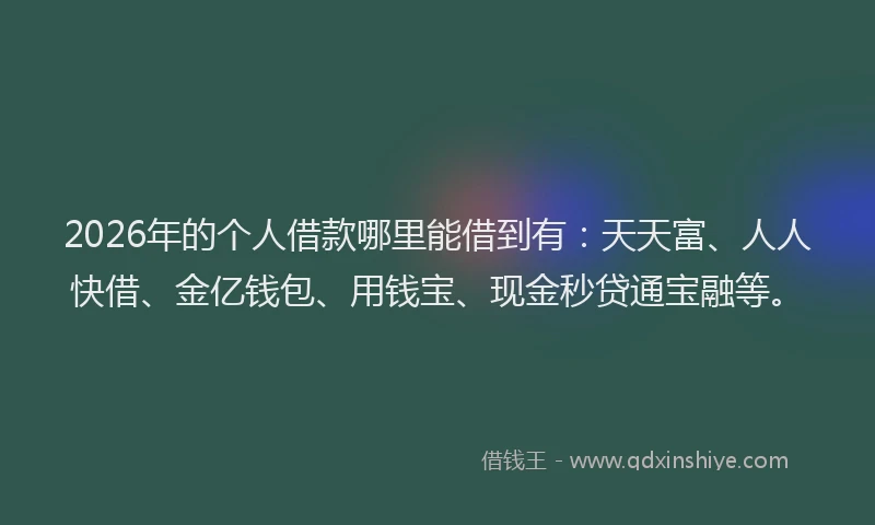 2026年的个人借款哪里能借到有：天天富、人人快借、金亿钱包、用钱宝、现金秒贷通宝融等。