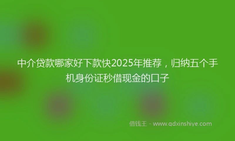 中介贷款哪家好下款快2025年推荐，归纳五个手机身份证秒借现金的口子