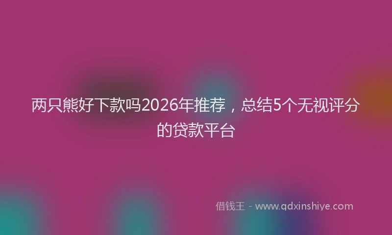 两只熊好下款吗2026年推荐，总结5个无视评分的贷款平台