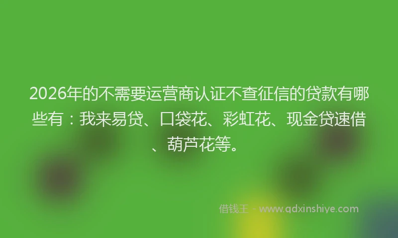 2026年的不需要运营商认证不查征信的贷款有哪些有：我来易贷、口袋花、彩虹花、现金贷速借、葫芦花等。