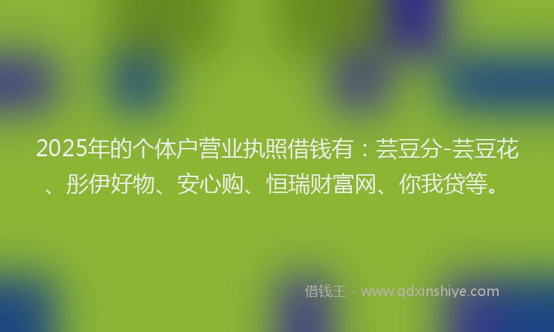 2025年的个体户营业执照借钱有：芸豆分-芸豆花、彤伊好物、安心购、恒瑞财富网、你我贷等。
