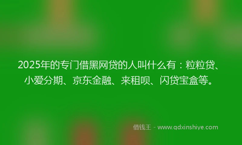 2025年的专门借黑网贷的人叫什么有：粒粒贷、小爱分期、京东金融、来租呗、闪贷宝盒等。