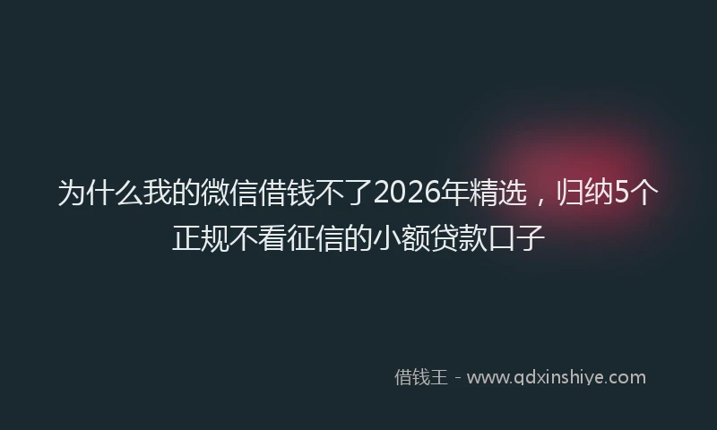 为什么我的微信借钱不了2026年精选，归纳5个正规不看征信的小额贷款口子