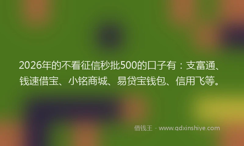 2026年的不看征信秒批500的口子有：支富通、钱速借宝、小铭商城、易贷宝钱包、信用飞等。