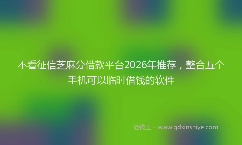 不看征信芝麻分借款平台2026年推荐，整合五个手机可以临时借钱的软件