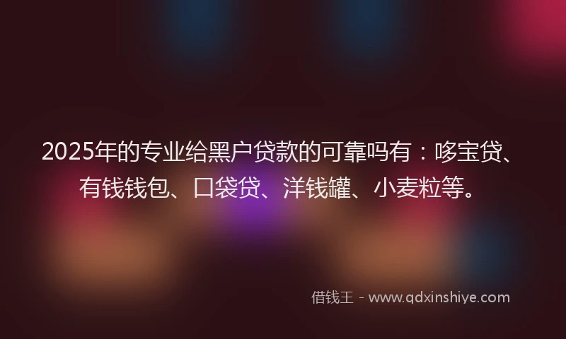 2025年的专业给黑户贷款的可靠吗有:哆宝贷、有钱钱包、口袋贷、洋钱罐、小麦粒等。