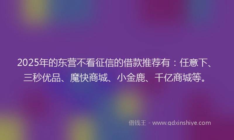 2025年的东营不看征信的借款推荐有：任意下、三秒优品、魔快商城、小金鹿、千亿商城等。