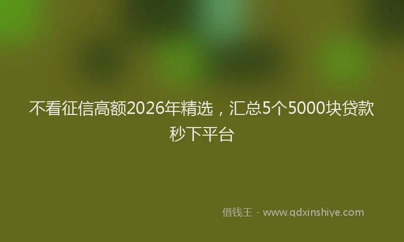 不看征信高额2026年精选，汇总5个5000块贷款秒下平台