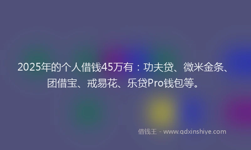 2025年的个人借钱45万有：功夫贷、微米金条、团借宝、戒易花、乐贷Pro钱包等。