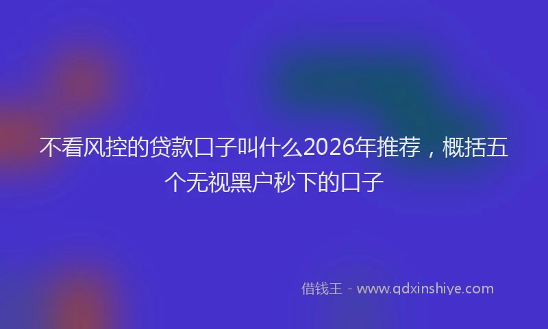 不看风控的贷款口子叫什么2026年推荐，概括五个无视黑户秒下的口子