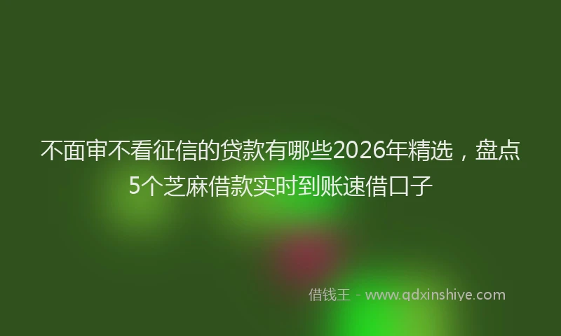 不面审不看征信的贷款有哪些2026年精选，盘点5个芝麻借款实时到账速借口子
