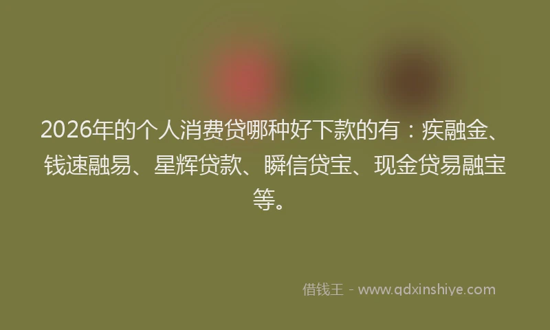 2026年的个人消费贷哪种好下款的有:疾融金、钱速融易、星辉贷款、瞬信贷宝、现金贷易融宝等。