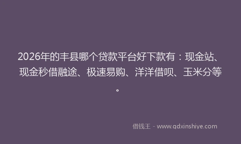 2026年的丰县哪个贷款平台好下款有:现金站、现金秒借融途、极速易购、洋洋借呗、玉米分等。