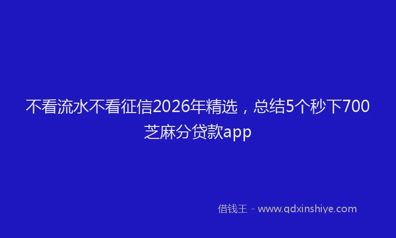 不看流水不看征信2026年精选，总结5个秒下700芝麻分贷款app