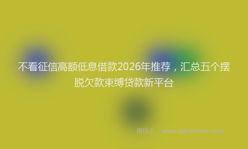不看征信高额低息借款2026年推荐，汇总五个摆脱欠款束缚贷款新平台