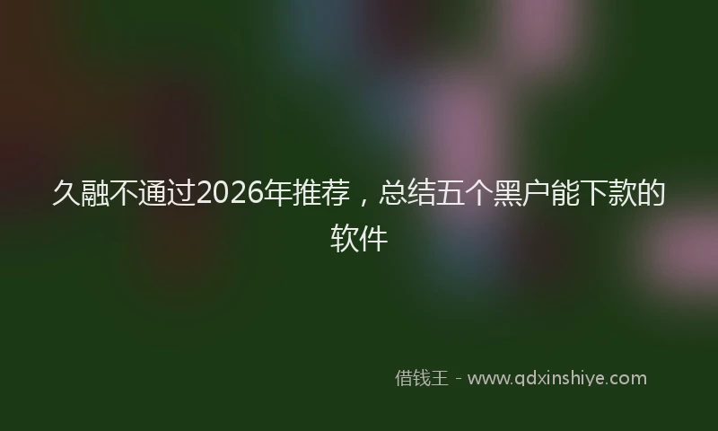 久融不通过2026年推荐,总结五个黑户能下款的软件
