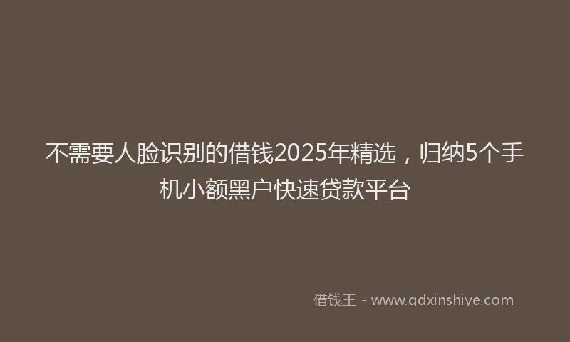 不需要人脸识别的借钱2025年精选，归纳5个手机小额黑户快速贷款平台