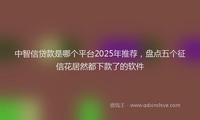 中智信贷款是哪个平台2025年推荐，盘点五个征信花居然都下款了的软件