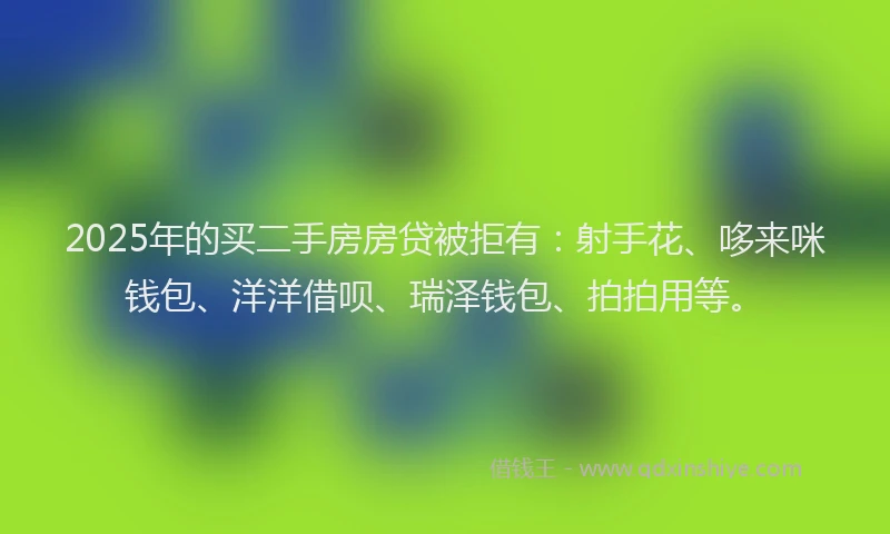 2025年的买二手房房贷被拒有：射手花、哆来咪钱包、洋洋借呗、瑞泽钱包、拍拍用等。