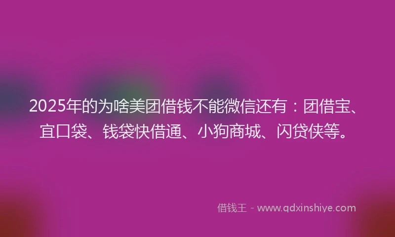 2025年的为啥美团借钱不能微信还有:团借宝、宜口袋、钱袋快借通、小狗商城、闪贷侠等。