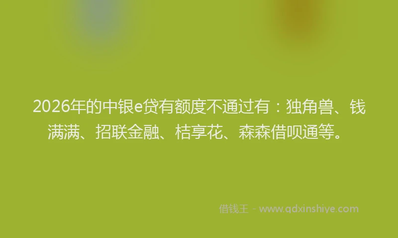 2026年的中银e贷有额度不通过有：独角兽、钱满满、招联金融、桔享花、森森借呗通等。