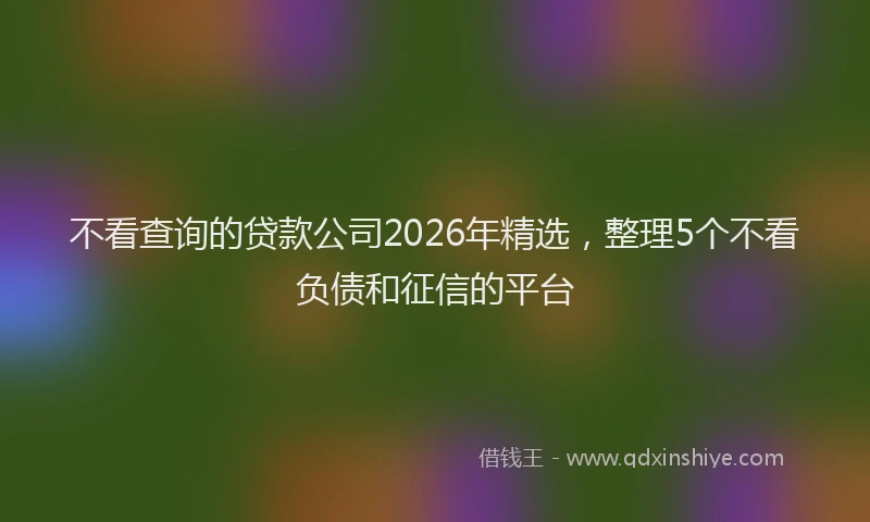 不看查询的贷款公司2026年精选,整理5个不看负债和征信的平台