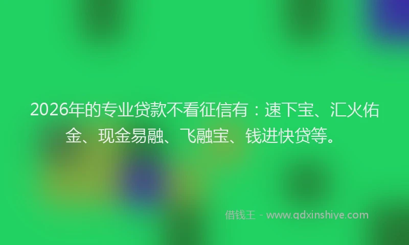 2026年的专业贷款不看征信有:速下宝、汇火佑金、现金易融、飞融宝、钱进快贷等。