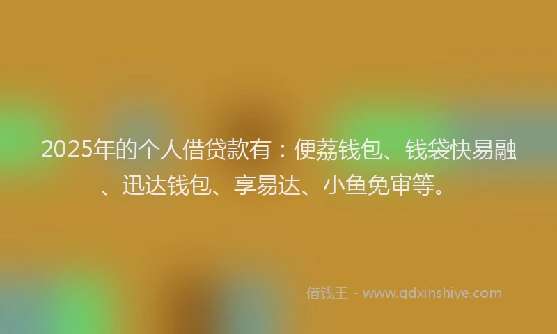 2025年的个人借贷款有:便荔钱包、钱袋快易融、迅达钱包、享易达、小鱼免审等。