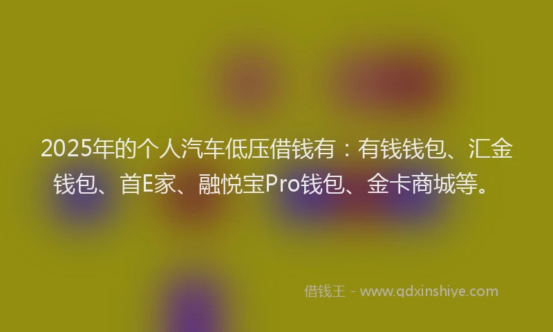 2025年的个人汽车低压借钱有：有钱钱包、汇金钱包、首E家、融悦宝Pro钱包、金卡商城等。