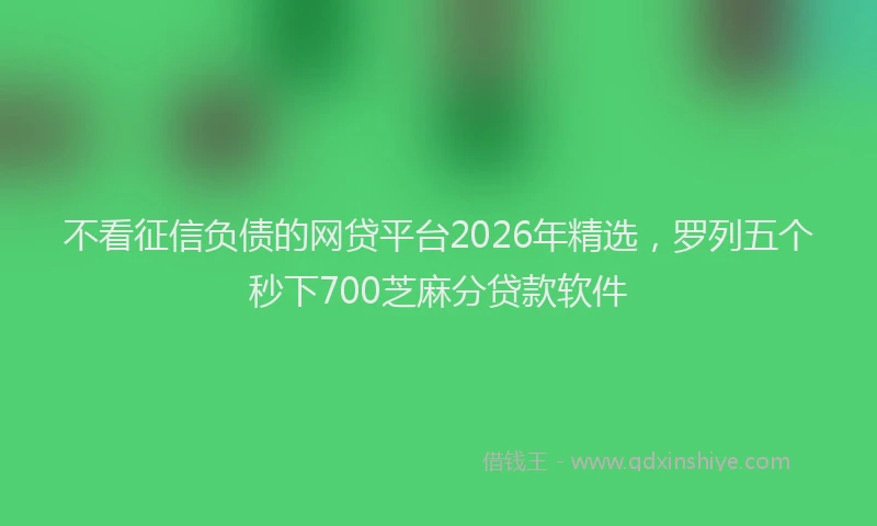 不看征信负债的网贷平台2026年精选，罗列五个秒下700芝麻分贷款软件