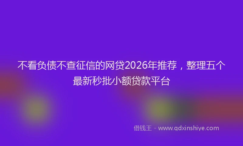 不看负债不查征信的网贷2026年推荐，整理五个最新秒批小额贷款平台