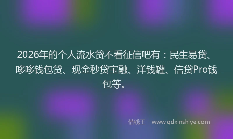 2026年的个人流水贷不看征信吧有：民生易贷、哆哆钱包贷、现金秒贷宝融、洋钱罐、信贷Pro钱包等。