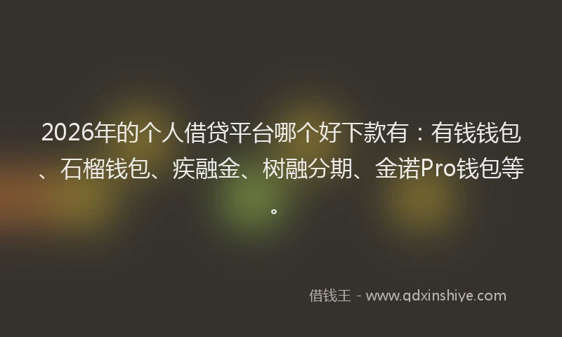 2026年的个人借贷平台哪个好下款有：有钱钱包、石榴钱包、疾融金、树融分期、金诺Pro钱包等。