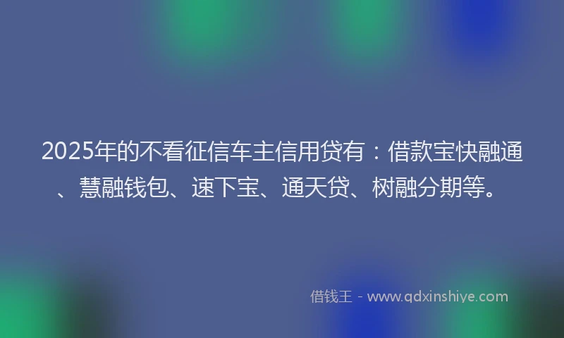 2025年的不看征信车主信用贷有：借款宝快融通、慧融钱包、速下宝、通天贷、树融分期等。