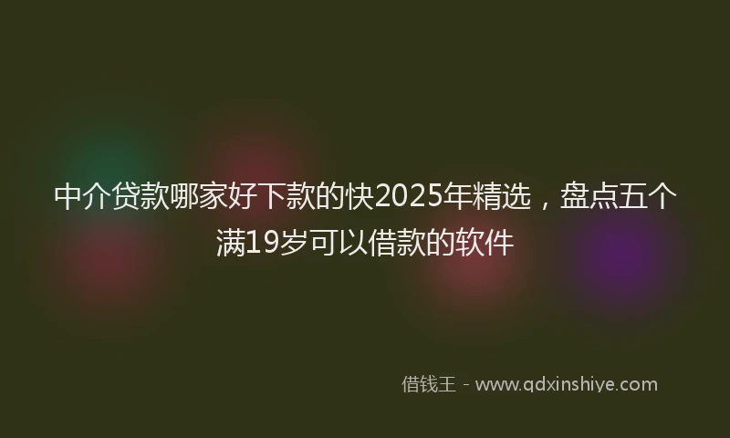 中介贷款哪家好下款的快2025年精选，盘点五个满19岁可以借款的软件